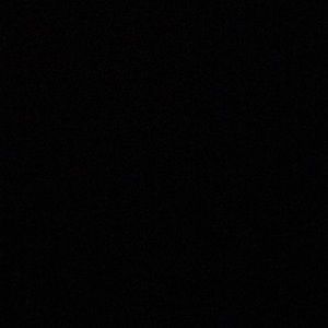 Meet your Posher, Darius